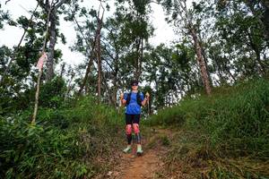 BIB: 
                            <button type="button" onclick="openModal(22390289)" class="btn btn-primary btn-sm float-right btn-popup" data-toggle="modal" data-target=".modal-high-quality">
                        <i class="fas fa-shopping-cart"></i> Add to Cart
                    </button>
                                            <button type="button" onclick="isThisMe(22390289, true)" class="btn btn-success btn-sm float-right btn-popup btn-isme hidden" data-toggle="tooltip" data-placement="bottom" title="นี่คือรูปของคุณใช่ไหม คลิกที่นี่เพื่อเอาเข้าอัลบั้ม">
                        <i class="fas fa-plus"></i> Add to album
                    </button>
                    <button type="button" onclick="isThisMe(22390289, false)" class="btn btn-warning btn-sm float-right btn-popup btn-isnotme hidden">
                        <i class="fas fa-ban"></i> Remove from album
                    </button>